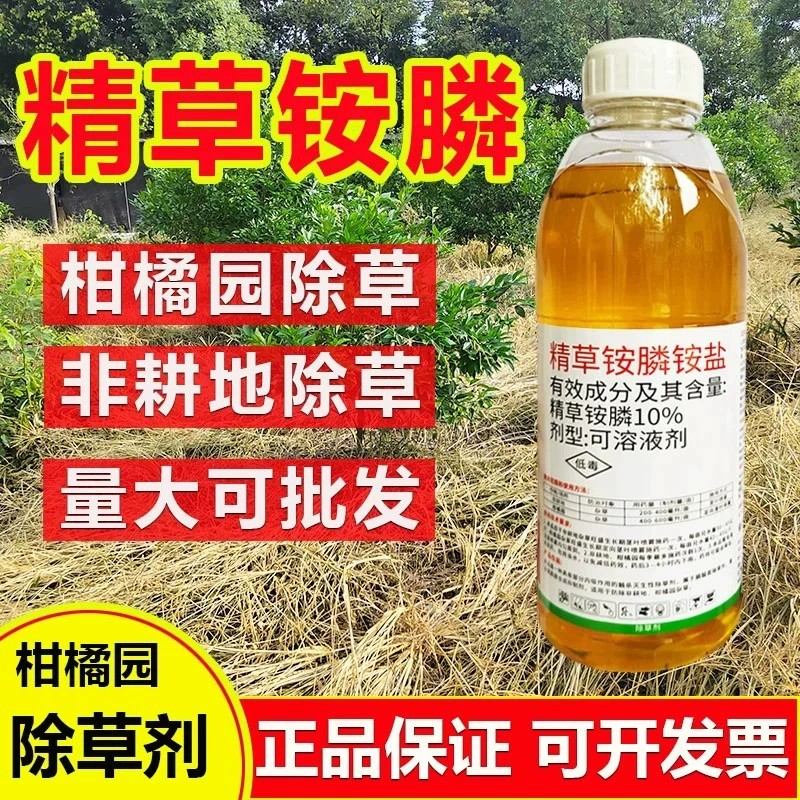 精草铵磷铵盐正品农药果园茶园一扫农药光精草胺膦胺盐除草烂根剂