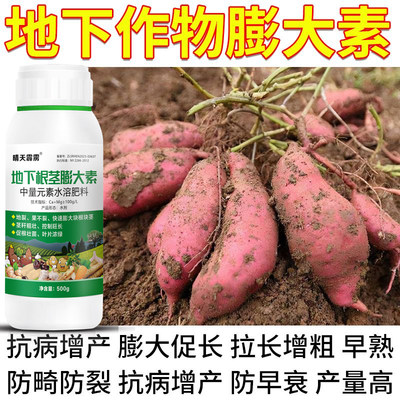 红薯根茎膨大素红薯地下猛长控旺增产防裂果地瓜增甜高产叶面肥