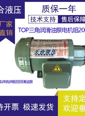 TOP-12A/13A齿轮油泵电机ROP11A三角摆线泵380V机床车床润滑220V