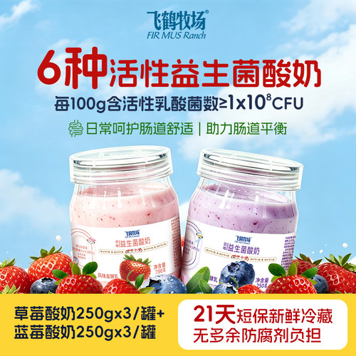 飞鹤牧场蓝莓酸奶250g
