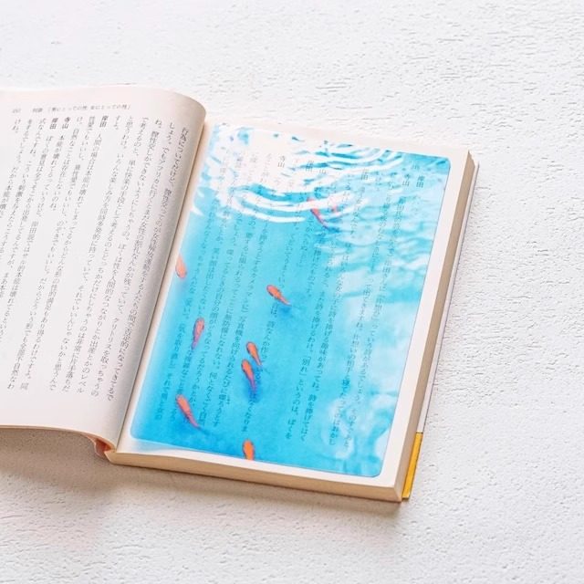 新款金鱼锦鲤透明书签高颜值个性创意小学生文创书签定制精致收藏