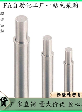 小径 弹簧柱塞 ZAS01 11-D2 D3 D4 D5-H1.5 H3 H4 H6 H8 H9 H12