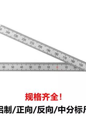 刻度标尺BLR01 02 06 11 12 15 16-L100 L200 L300 L600刻度标尺