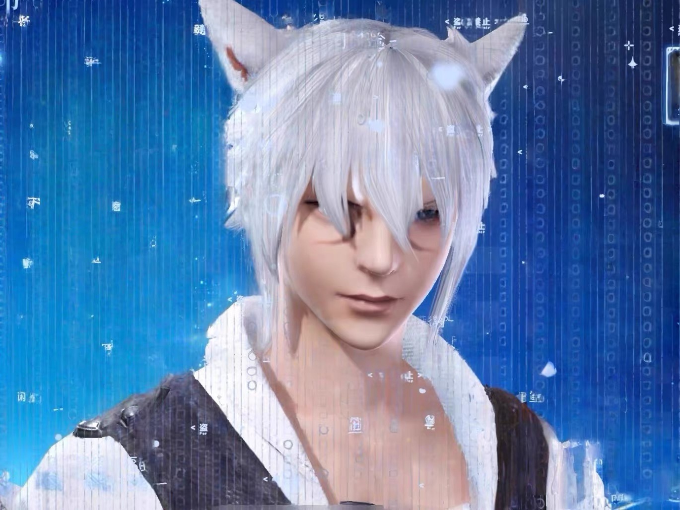 【QQ14捏脸】最终幻想14水晶世界捏脸 猫男捏脸  ff14手游猫男