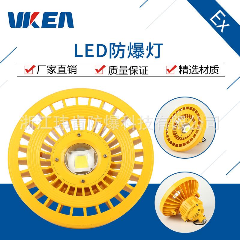 专业供应20W30W40W50W黄色圆形防爆灯免维护型防爆灯LED防爆灯