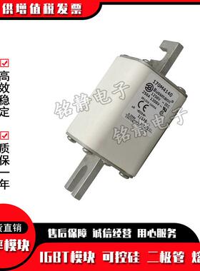 170M4182170M4183170M4184170M4185170M4186巴斯曼熔断器现货