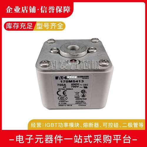 170M5438 170M5439 170M5440 170M5441 170M5442 170M5443熔断器