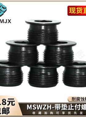 螺塞孔型凸缘型MSWZH带垫止付螺丝内角螺塞公制堵头顶丝MSWZ