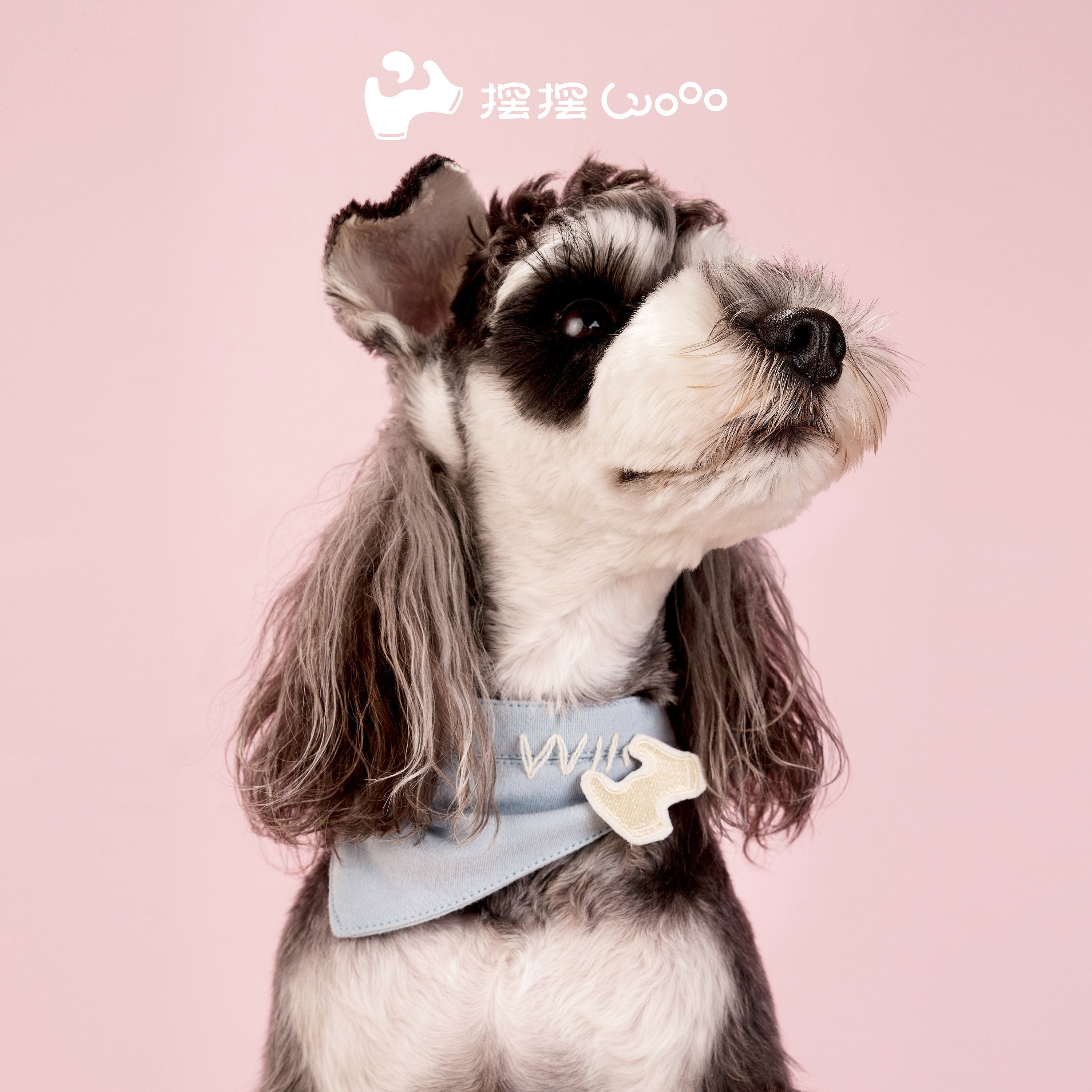 摆摆Wooo戴上好开心的领巾中小型犬猫兔宠物设计感领巾撞色纯棉