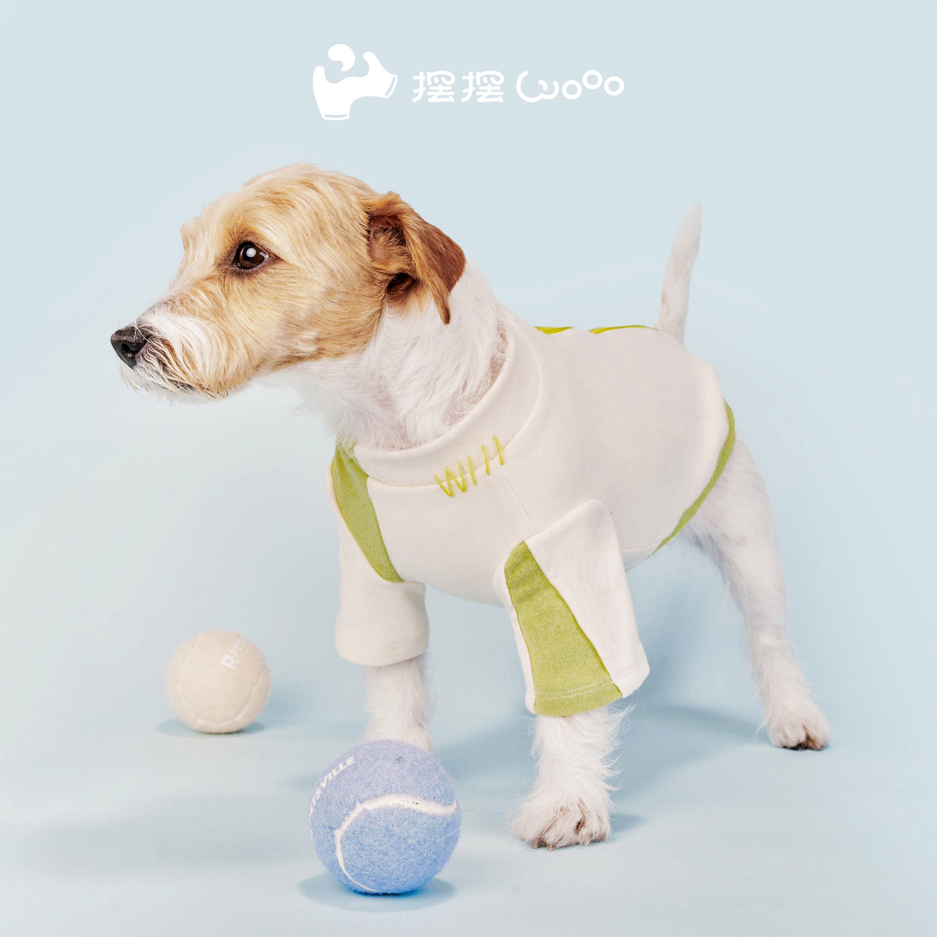 摆摆Wooo宠物跳色卫衣马尔济狗宠物服装/雨衣