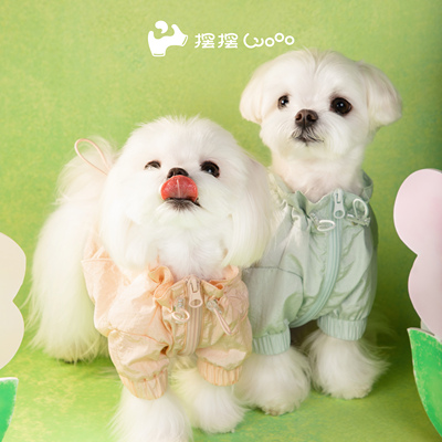 摆摆Wooo宠物猫狗春夏超薄防日晒花苞外套马尔济斯雪纳瑞比熊户外