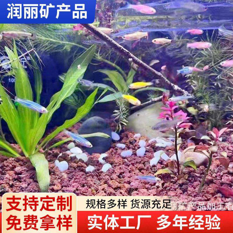 火山石多肉植物铺面拌土火山石污水处理火山石造景用火山石