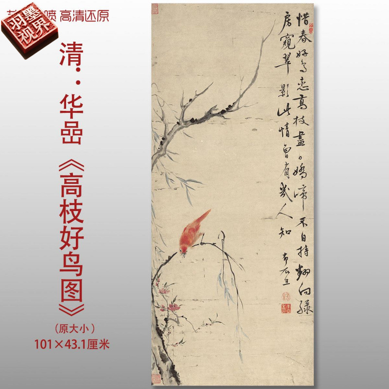 清代华喦高枝好鸟图传花鸟水国画