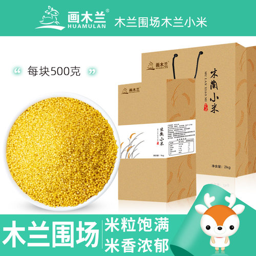 画木兰木兰围场小米优质产源