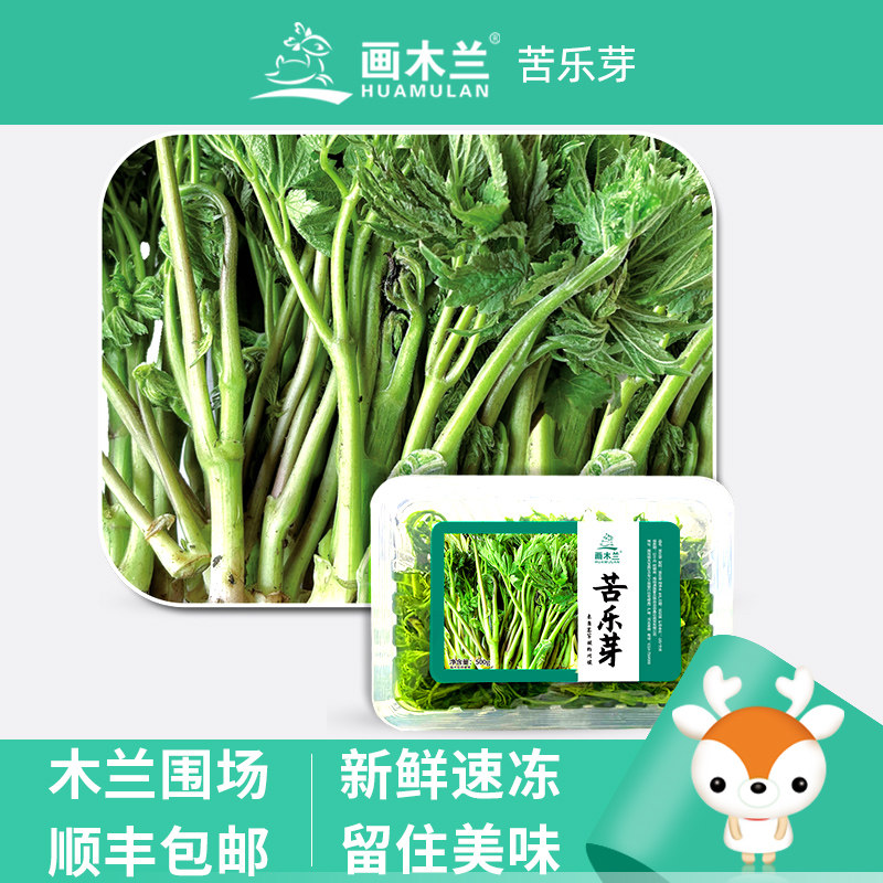 木兰围场苦乐芽苦力芽山野菜新鲜速冻解冻即食熬粥蘸酱承德特产