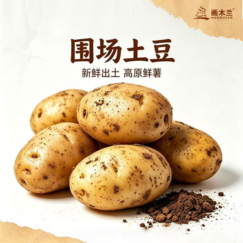 木兰围场马铃薯