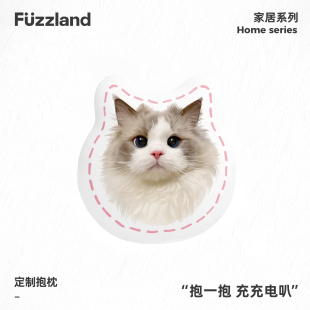 Fuzz宠物定制原创手绘周边抱枕异形可爱双面原创设计猫咪狗狗礼物
