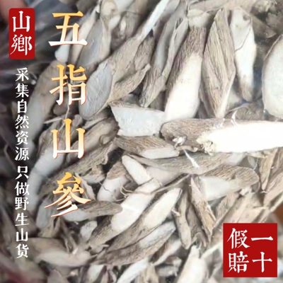 山乡药域五指山参晒干24H包邮