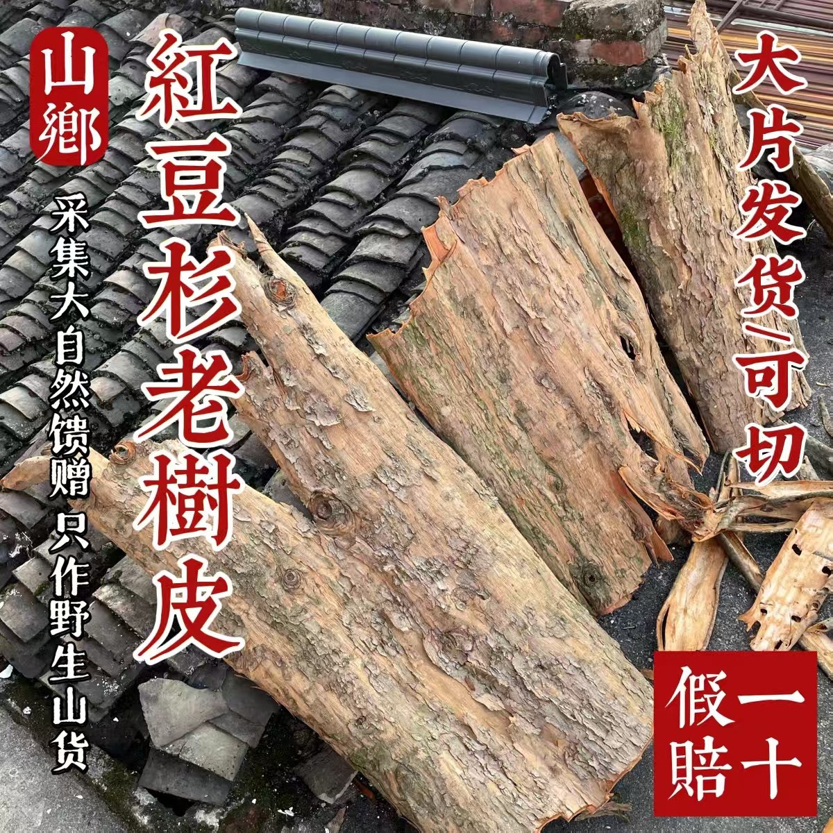 山乡药域 云南红H豆杉树皮 树根 果子 叶子原料红H豆杉 红H豆杉皮