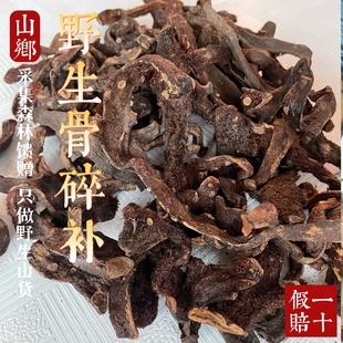 山乡药域 正宗骨碎补纯野生非专业农家晒干货源真品保障假一赔十