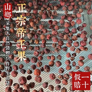 山乡药域 云南野生帝王果中药材农家烘晒柘果搭紫杉果云南帝王果