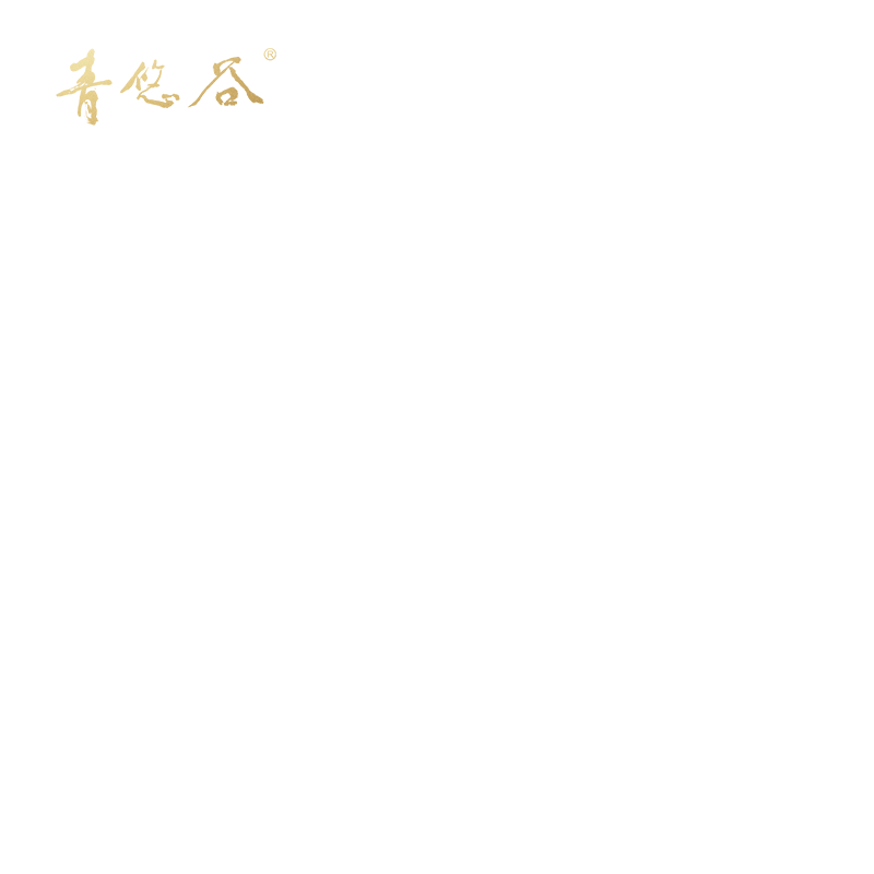 青悠谷陈茶武夷岩茶正岩核心