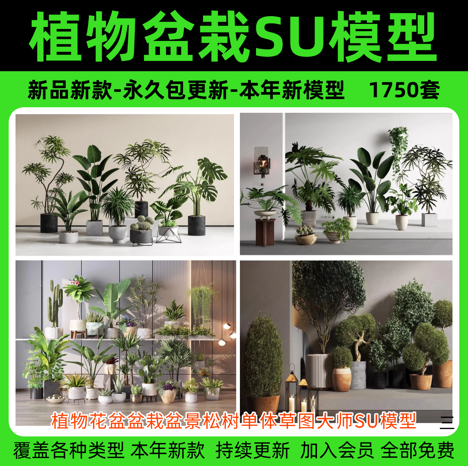 绿植植物花盆盆栽盆景松树单体草图大师SU模型室内花卉花草素材库