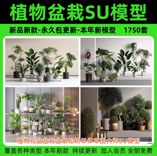 绿植植物花盆盆栽盆景松树单体草图大师SU模型室内花卉花草素材库