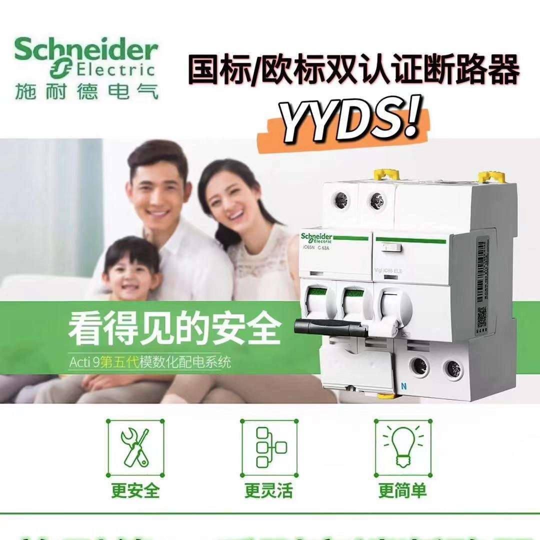 施耐1德漏电保护开关IC65N 空开2P家用总开关防漏电断路器带漏保