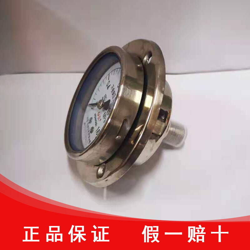 红旗仪表Y-60BF-ZT 不锈A钢轴向带前边压力表面接式螺14mm