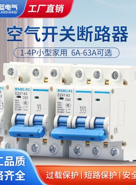 空气开关DZ47家用空开1P小型断路器220V短路保护器2P总闸 63A C45