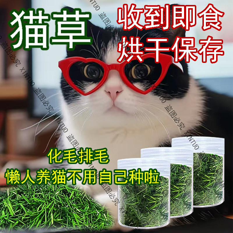 XINTUO收到即食猫草烘干猫咪专用化毛球助消化小麦草清口气洁齿
