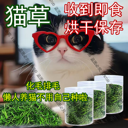 XINTUO收到即食猫草烘干猫咪专用化毛球助消化小麦草清口气洁齿