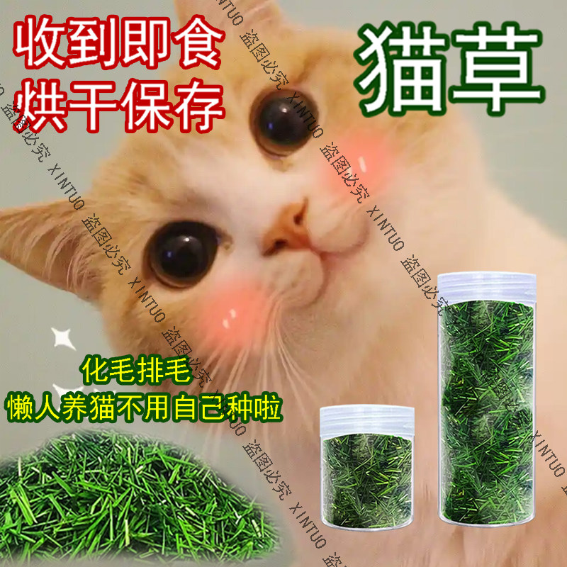 XINTUO猫咪专用猫草干草烘干猫草即食新鲜小麦草去毛球催吐清口气