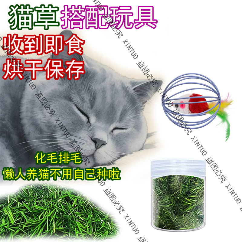 XINTUO烘干猫草干草天然猫咪去毛球小麦草化毛球逗猫毛绒球玩具