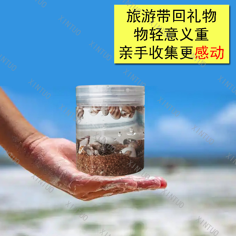 XINTUO纯天然女生礼品海底世界海螺贝壳桌面摆件沙滩特色饰品纪念