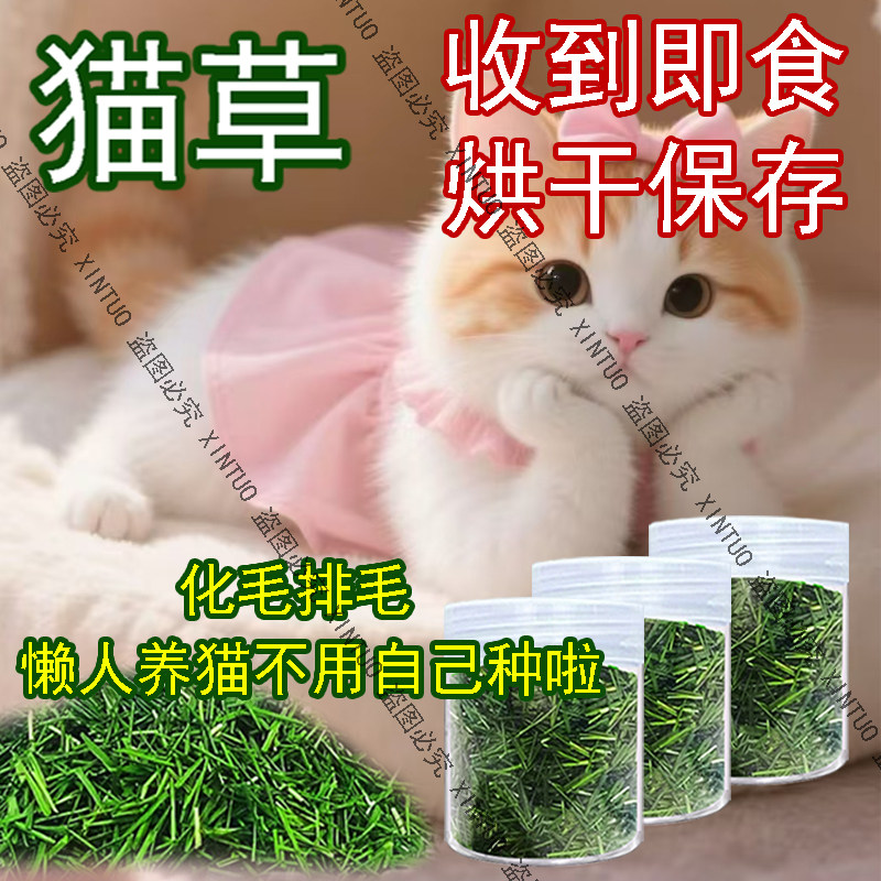 XINTUO新鲜猫草烘干猫草猫咪宠物去毛球小麦草猫草干草助消化即食