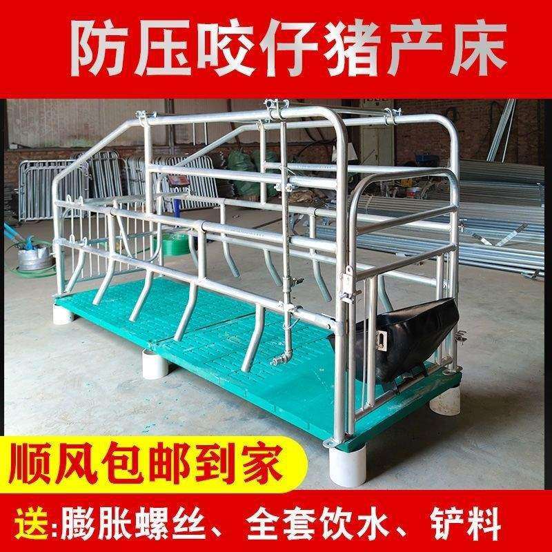 新款母猪产床单体带漏粪板落地式产保一体产床定位栏母猪固定栏猪