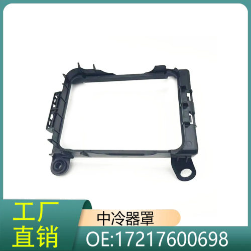 17217600698适用于宝马1系2系3系4系F20F30F31F33辅助水箱框架