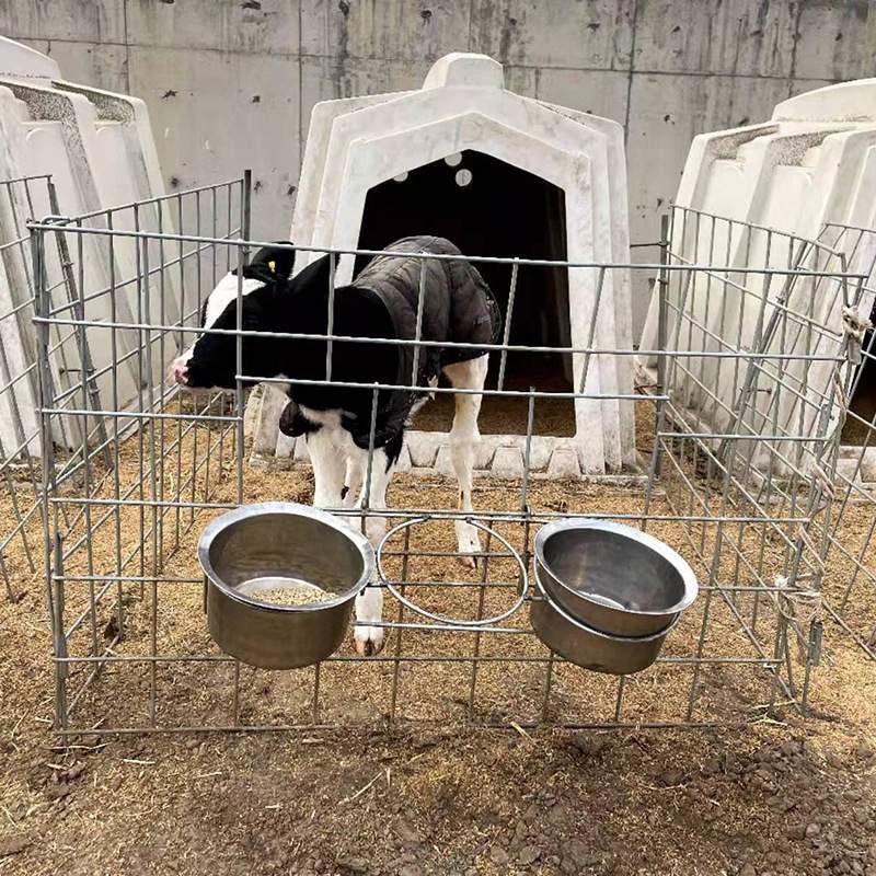 犊牛岛犊牛舍进口聚乙烯滚塑小牛屋犊牛栏养牛场养殖犊牛岛配件