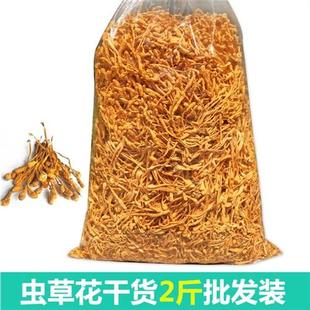 金北蛹虫草菇煲汤食材菌菇孢子头2斤新货无添加 虫草花干货正品