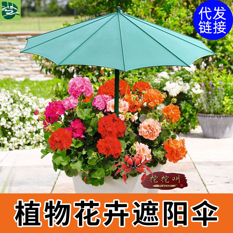 植物花卉防晒伞盆景盆栽遮阳伞