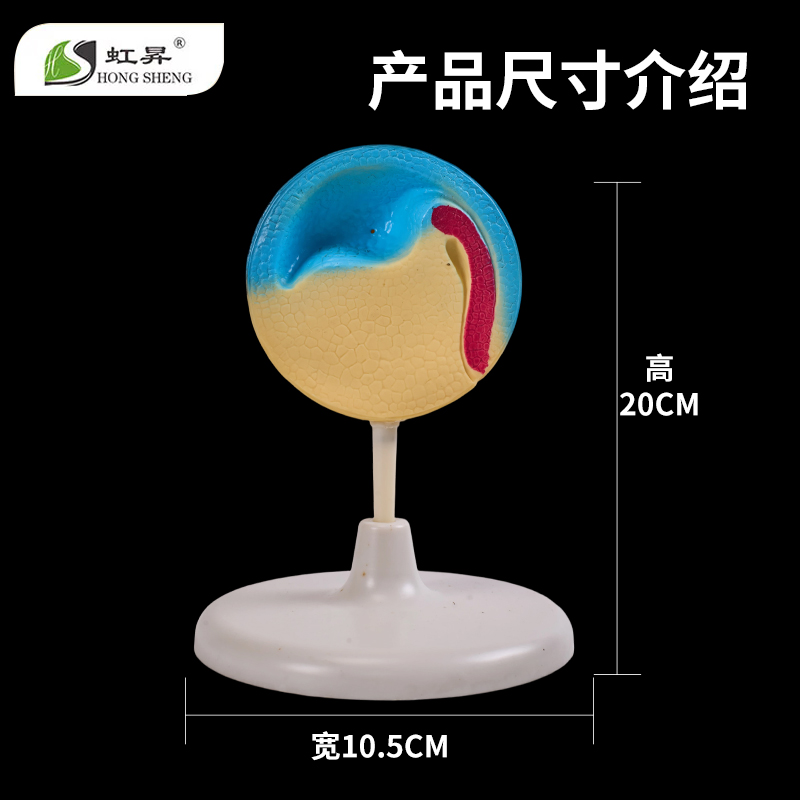 潮流精品,品质保证