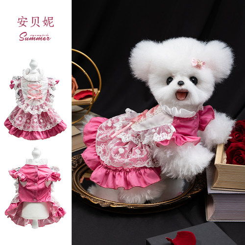 波波球蕾丝狗狗衣服夏季薄款透气防掉毛幼犬小型犬夏天宠物连身裙