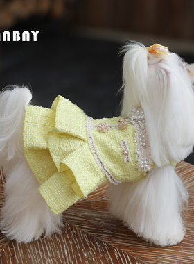 冬季新款名媛公主风保暖宠物服饰马尔济斯贵宾小型犬狗狗加绒裙子