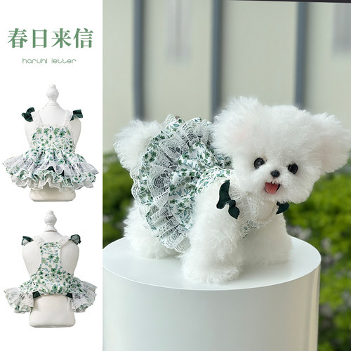 安贝妮宠物衣服猫咪洛丽塔蛋糕裙幼犬小型犬比熊小狗狗宠物连身裙