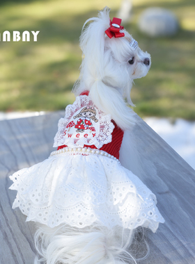 安贝妮宠物衣服四季新年喜庆狗狗连身裙小型犬比熊博美约克夏裙子