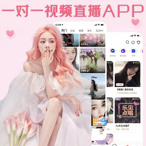 社交app开发一对一视频交友转盘砸蛋直播婚恋相亲系统开发源码