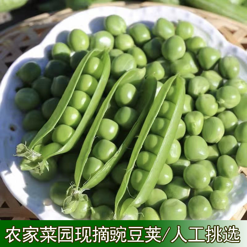 湖北宜昌农家菜豌豆新鲜带壳青豆角粒水果甜豆荚嫩青豆米精选发货,水产肉类/新鲜蔬果/熟食,新鲜豆类,淘宝优惠券,粉丝福利购,淘宝优惠卷