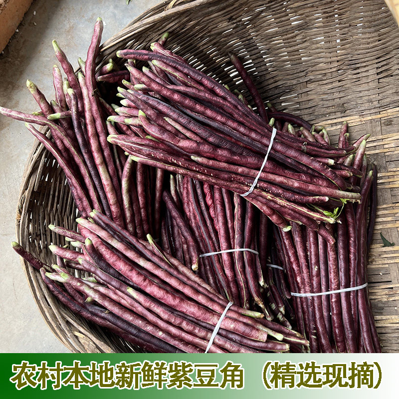 特产新鲜蔬菜农家自种湖北